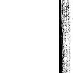 Image Tile