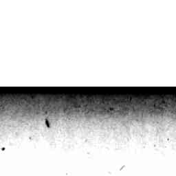 Image Tile