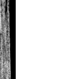 Image Tile