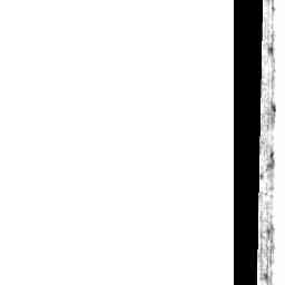 Image Tile