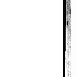 Image Tile