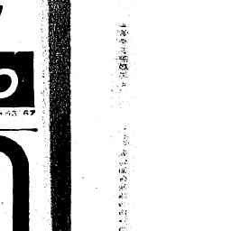 Image Tile