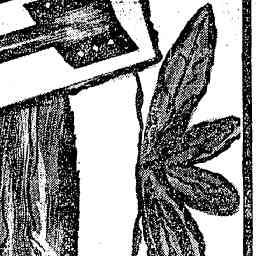 Image Tile