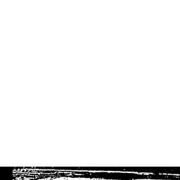 Image Tile