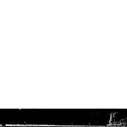 Image Tile