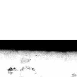 Image Tile