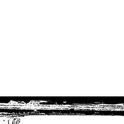 Image Tile