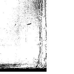 Image Tile