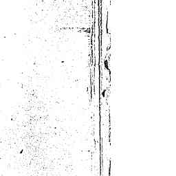 Image Tile