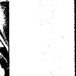 Image Tile