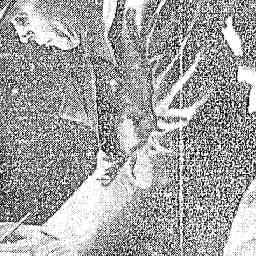 Image Tile