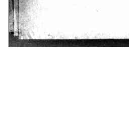 Image Tile