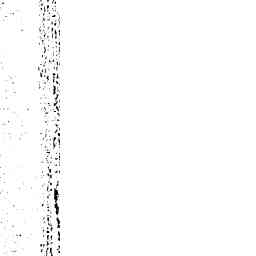 Image Tile
