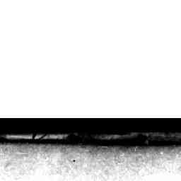 Image Tile