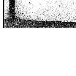 Image Tile