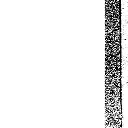 Image Tile