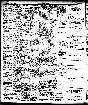 Page overview thumbnail
