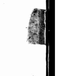 Image Tile