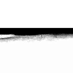 Image Tile