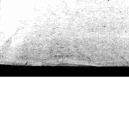 Image Tile