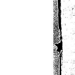 Image Tile