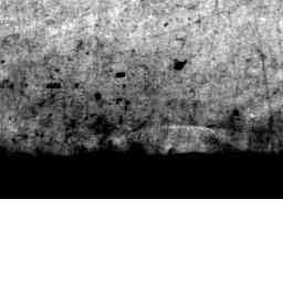 Image Tile