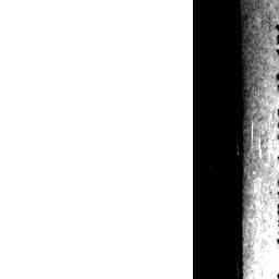 Image Tile