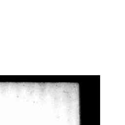 Image Tile
