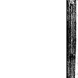 Image Tile