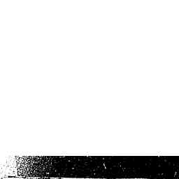 Image Tile