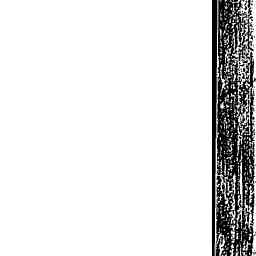 Image Tile