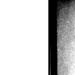 Image Tile