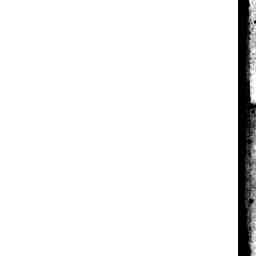 Image Tile