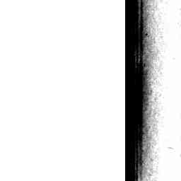Image Tile