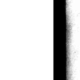 Image Tile