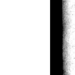 Image Tile
