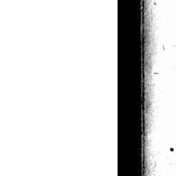 Image Tile