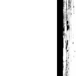 Image Tile