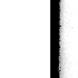 Image Tile