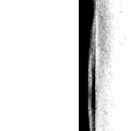 Image Tile
