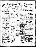 Page overview thumbnail