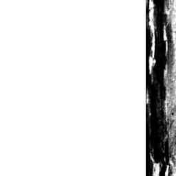 Image Tile