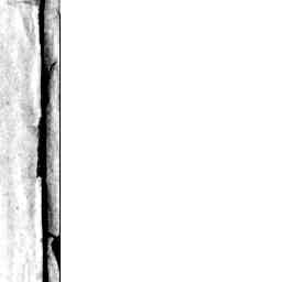 Image Tile