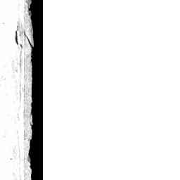 Image Tile