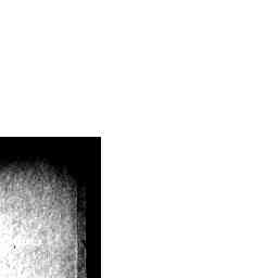 Image Tile