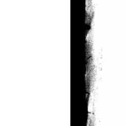 Image Tile