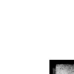 Image Tile
