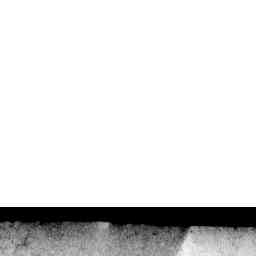 Image Tile