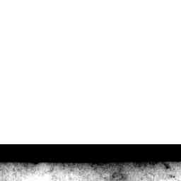 Image Tile