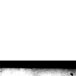 Image Tile
